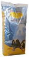 Willowy puppy 15kg